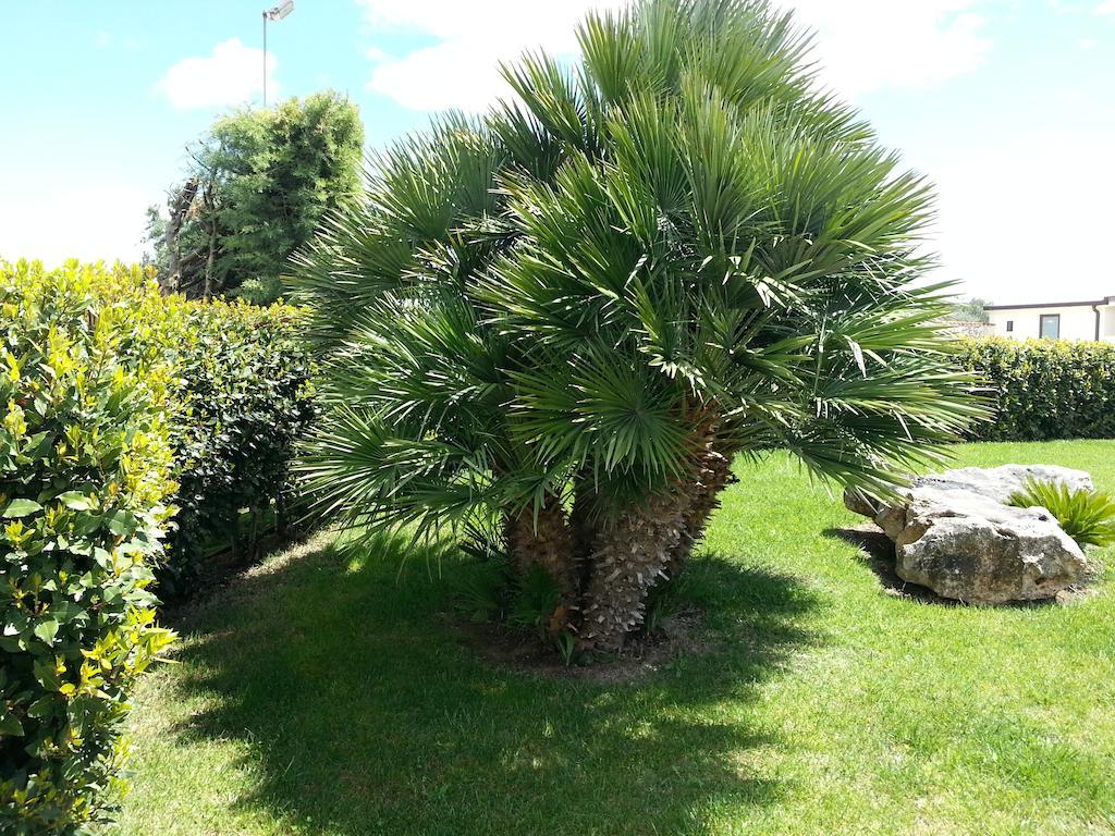 Villa Genny Altamura Exterior foto